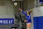 Women’s VB intersquad  Women’s Volleyball inter-squad match. : Women’s Volleyball, VB, inter squad, intersquad